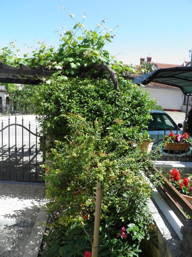 Apartment Ksenia Porec